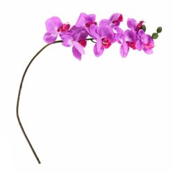 №19 Орхидея фиолетовая