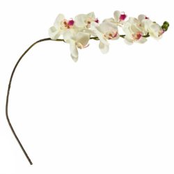 №18 Орхидея белая