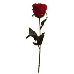 №13 Роза красная
